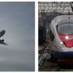 By plane or by train