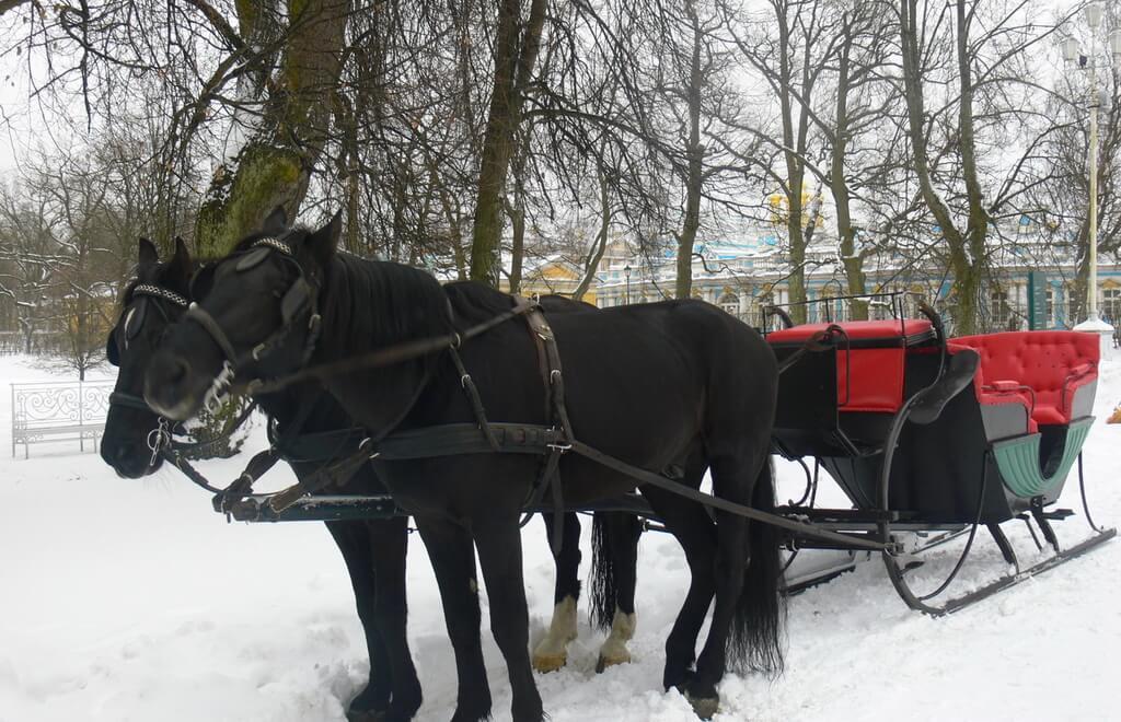 Horse-Drawn Carriage And Sleigh Rides In Tsarskoe Selo