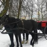 Horse-Drawn Carriage And Sleigh Rides In Tsarskoe Selo