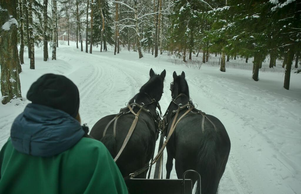 Horse Drawn Sleigh Ride in Pushkin