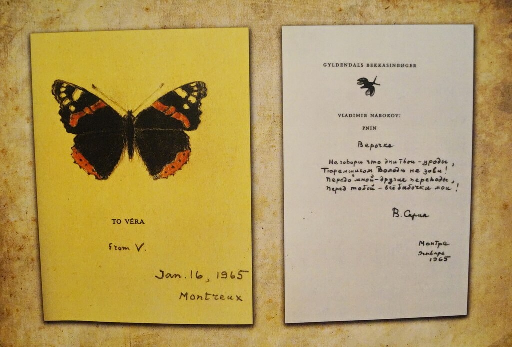 Drawings of butterflies by Nabokov