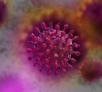Virus