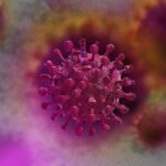 Virus