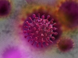 Virus